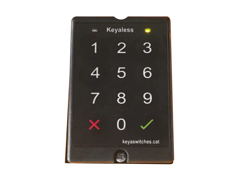Forche del transpallet elettrico EPV20-P/EPV25-P