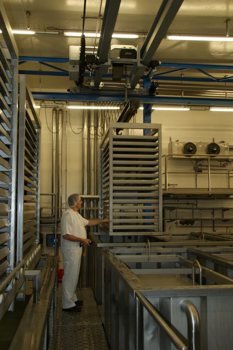 Gancio di carico in acciaio inox del GIS GPR
